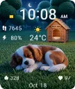 Sleeping Dog SWF