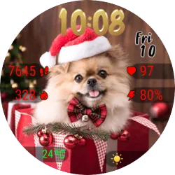 Lady Christmas