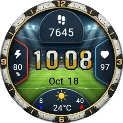 Football Fever