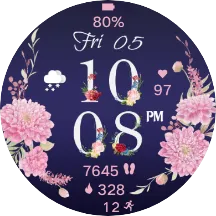 Spring Frame