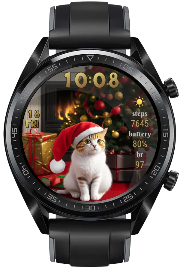 Santa Cat GT1