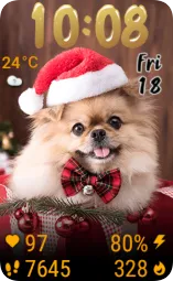 Lady Christmas