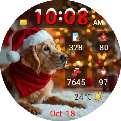 Santa Dog