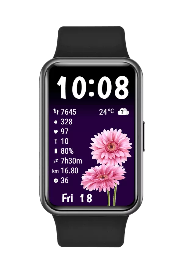 SWFspring02F
