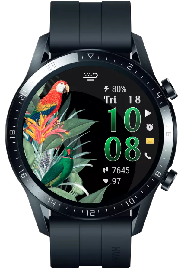 TropicalBirds